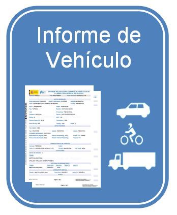 informe de vehiculo - Transferencia coche online